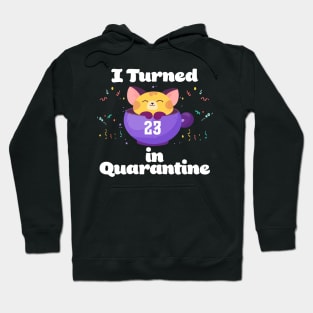 I Turned 23 In Quarantine Hoodie